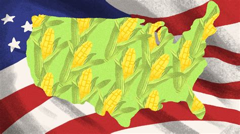 By encouraging farmers to produce as much corn and soy as possible even when prices are low, subsidies push down the price of commodity crops and fatten the profits of the firms that buy. . Are corn subsidies a good idea
